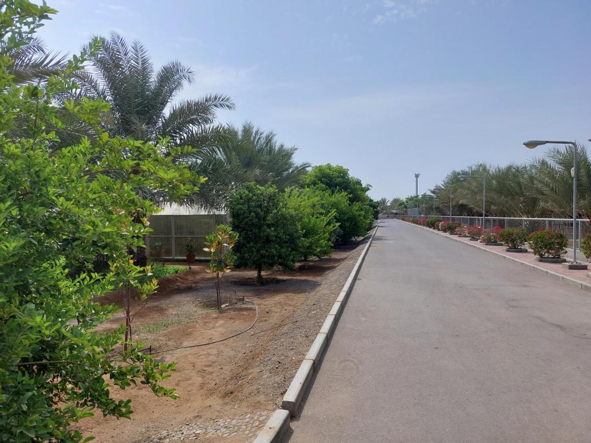 Asahalah Farm Pool Villas Seeb Exteriér fotografie