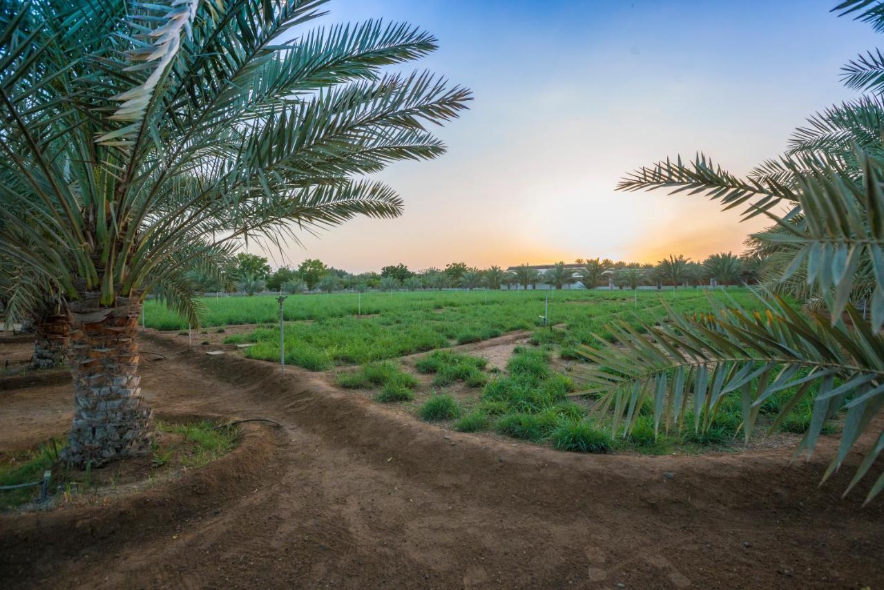 Asahalah Farm Pool Villas Seeb Exteriér fotografie