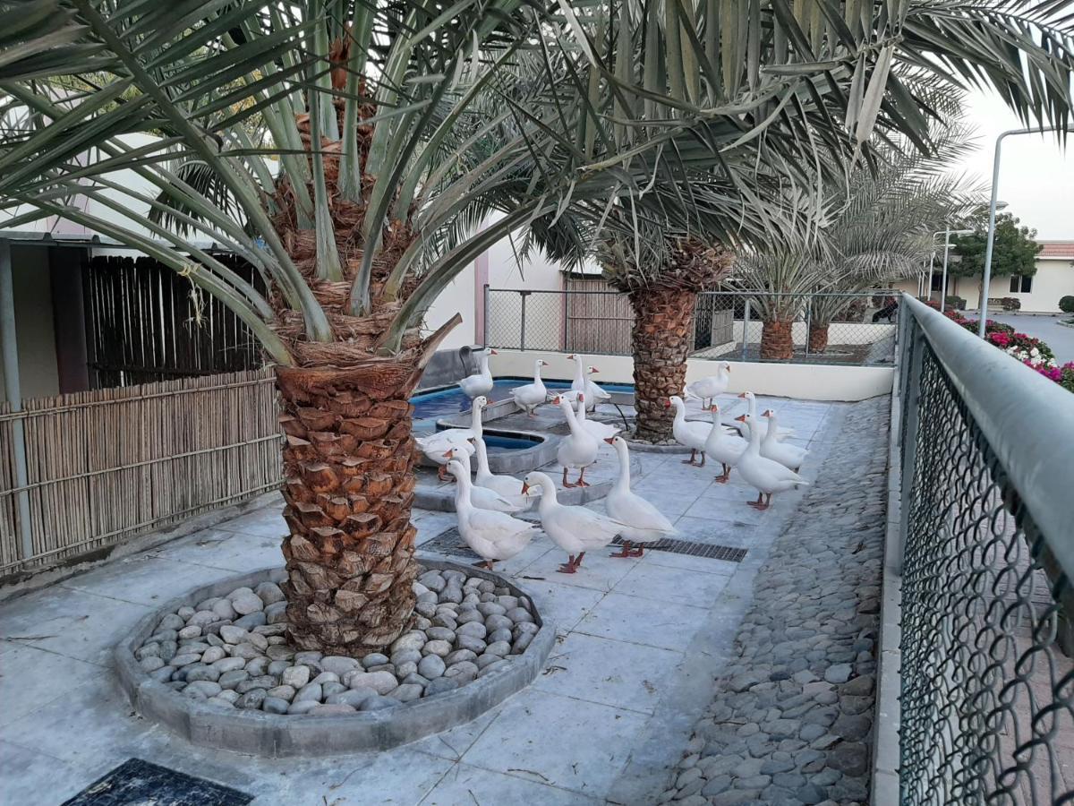 Asahalah Farm Pool Villas Seeb Exteriér fotografie