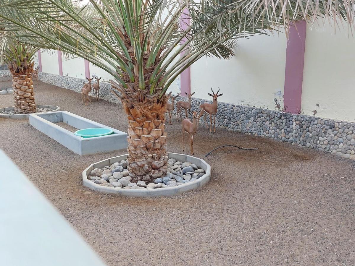 Asahalah Farm Pool Villas Seeb Exteriér fotografie
